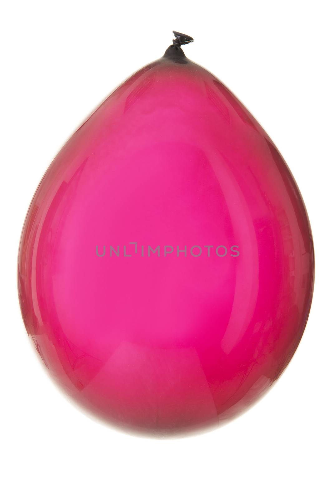 One pink purple balloon. Isolated on white.