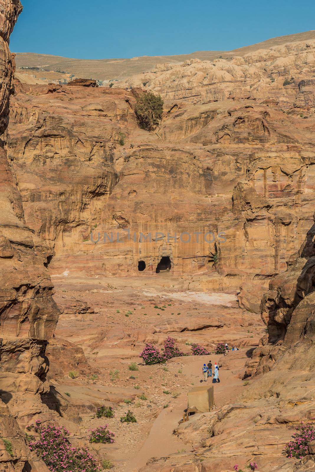 tourists walking in nabatean petra jordan middle east