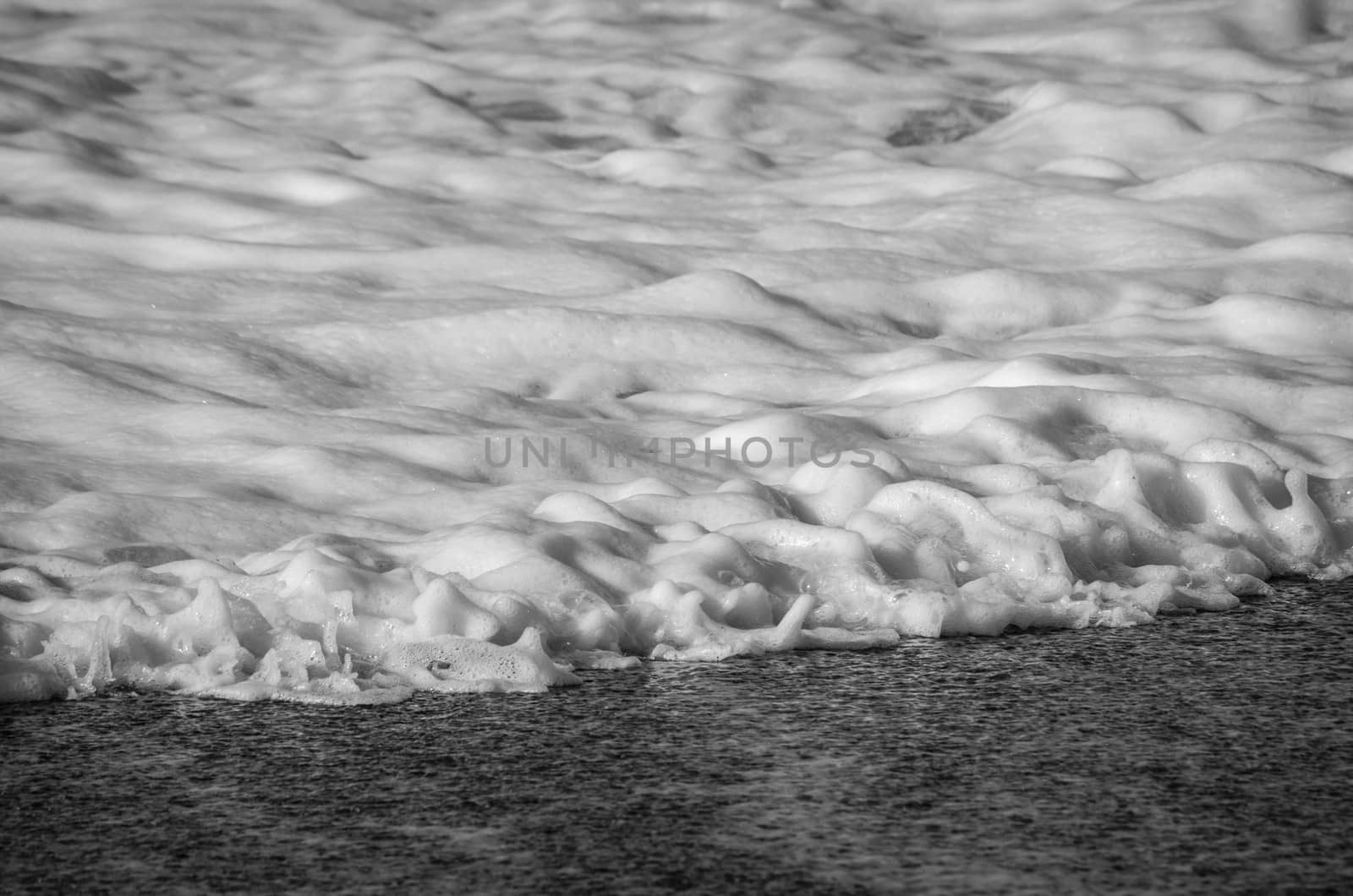 Foam produced by the wave breaking on the beach