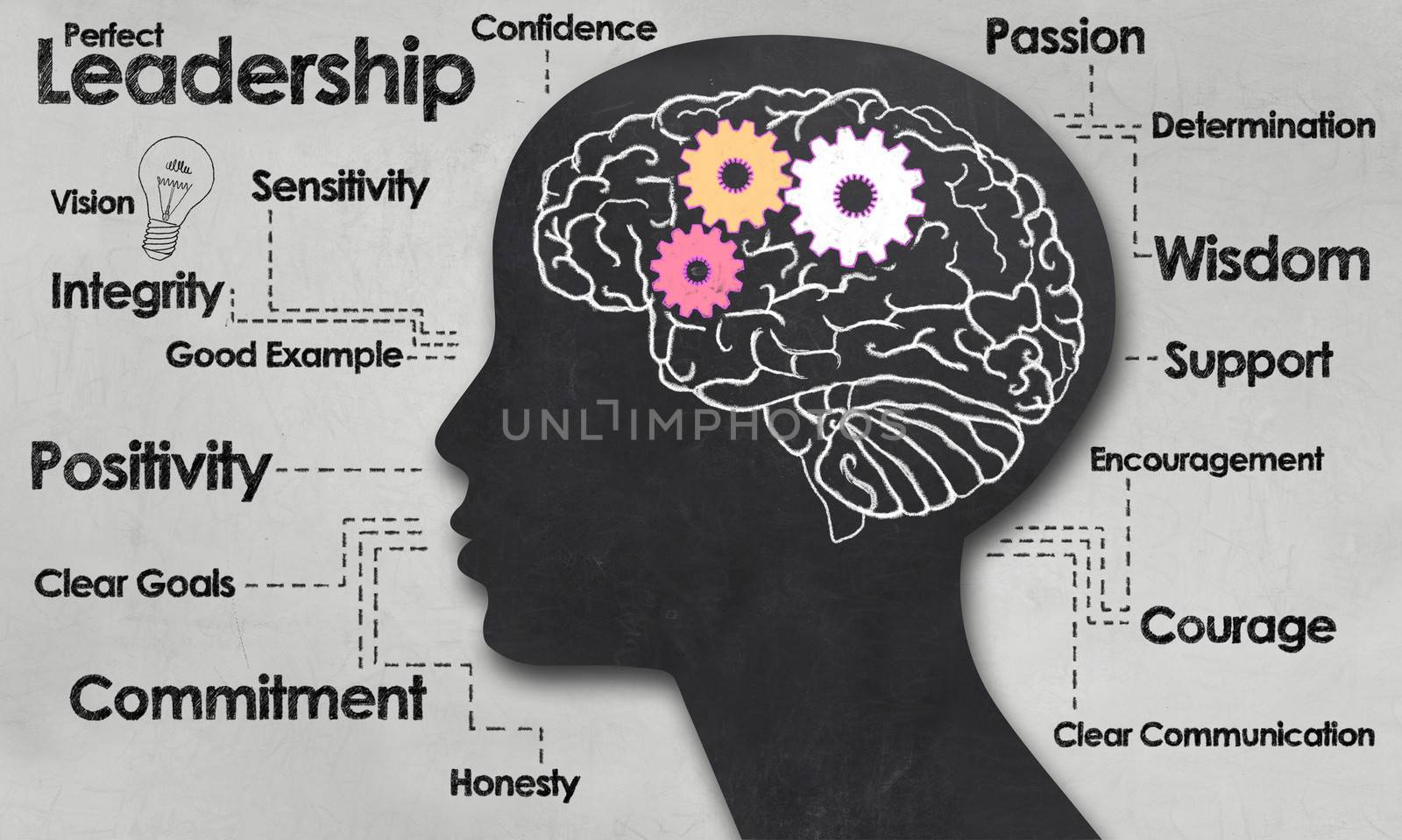 Female Brain and Outline with Positive Words of Leadership