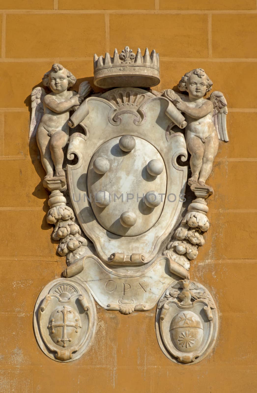 The Medici family embleme by ellepistock