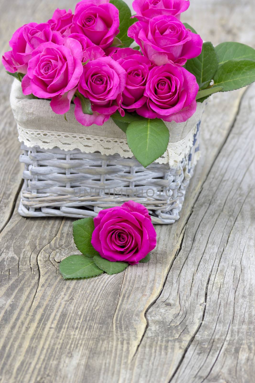 pink roses in a basket