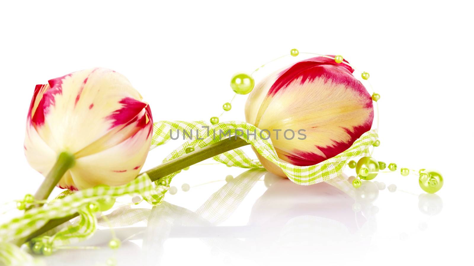 Two tulips and green beads. Spring flowers. Motley tulips.  Red and yellow tulips.