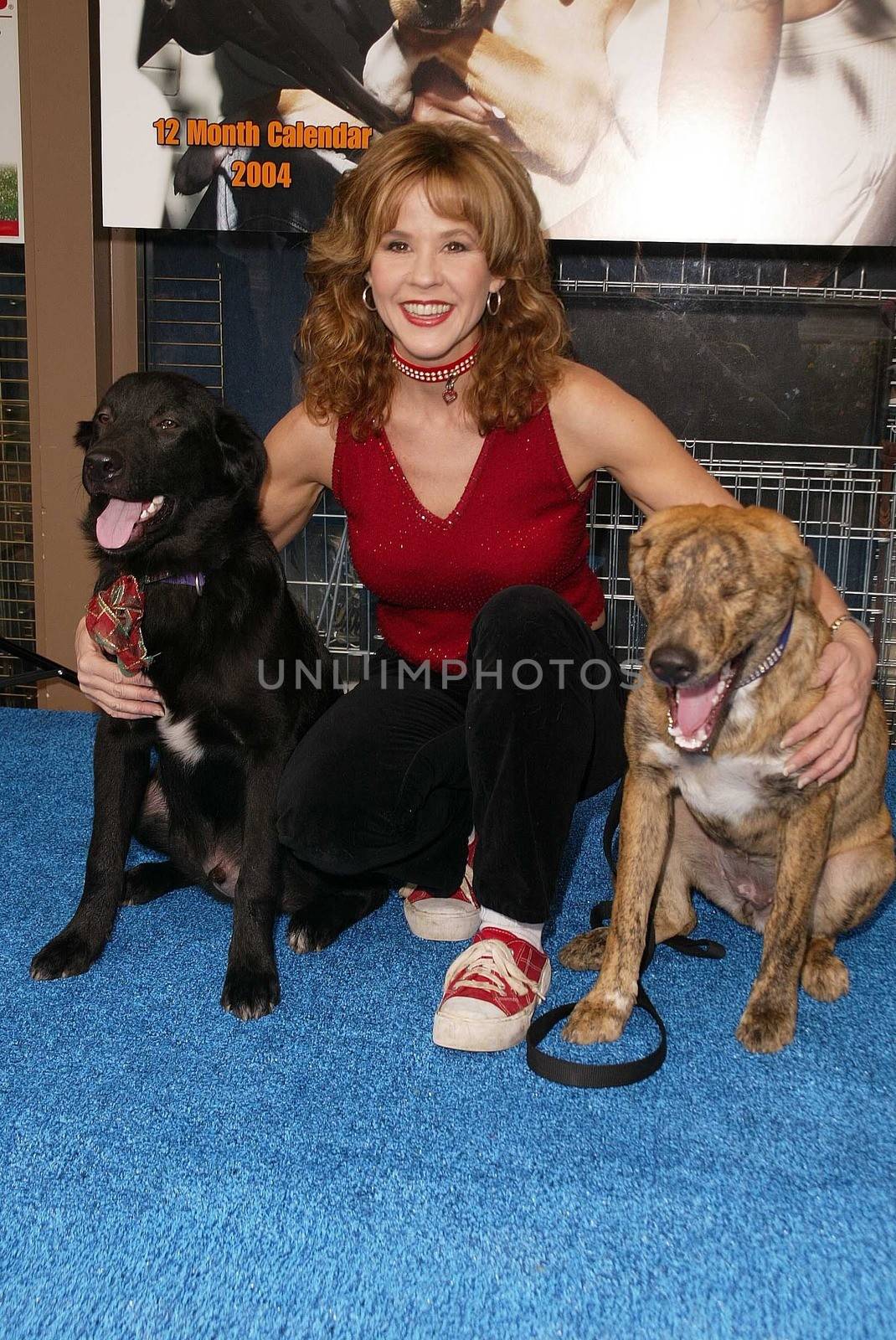 Last Chance for Animals "Pets & Celebrities" Launch by ImageCollect
