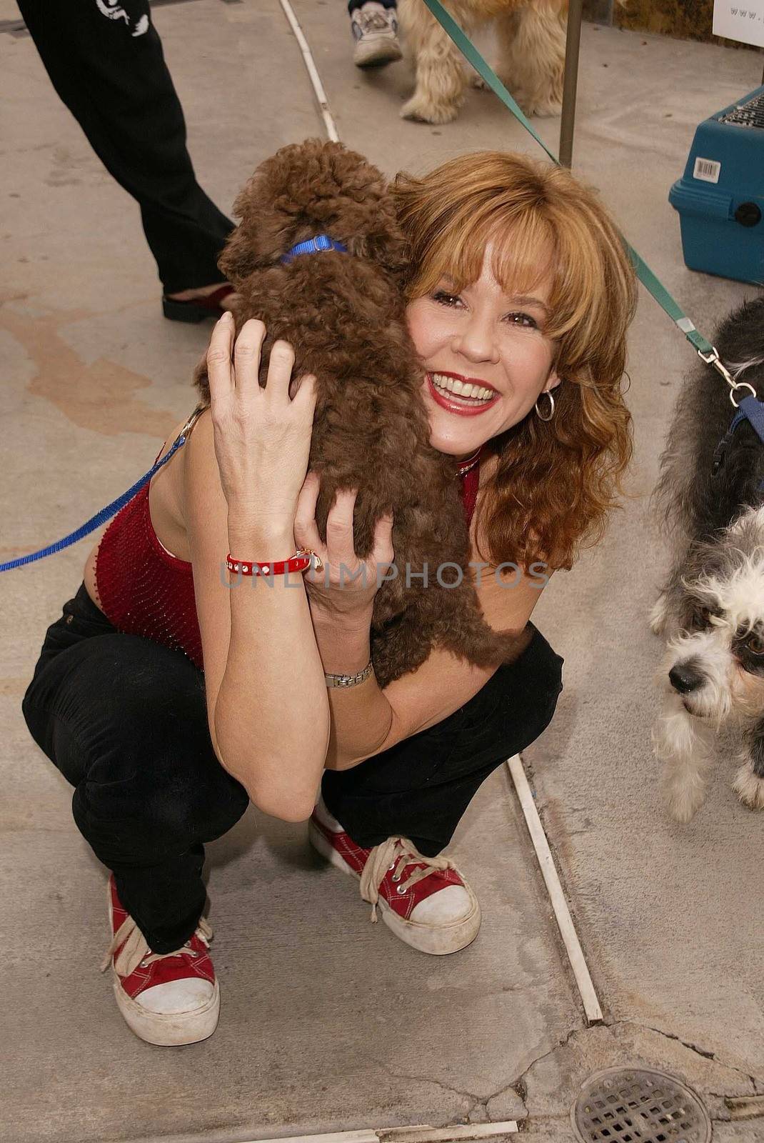 Linda Blair at the launch of Last Chance for Animals' "Pets & Celebrities" at Pet Mania, Burbank, CA 11-15-03