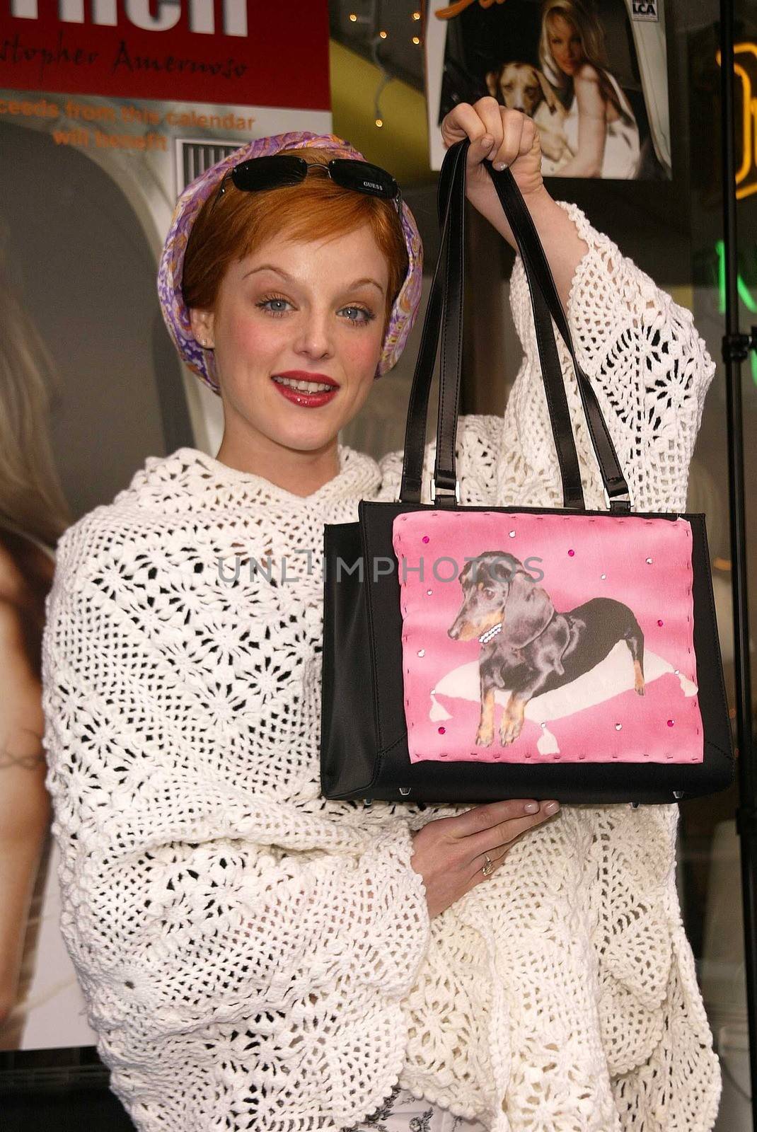 Last Chance for Animals "Pets & Celebrities" Launch by ImageCollect
