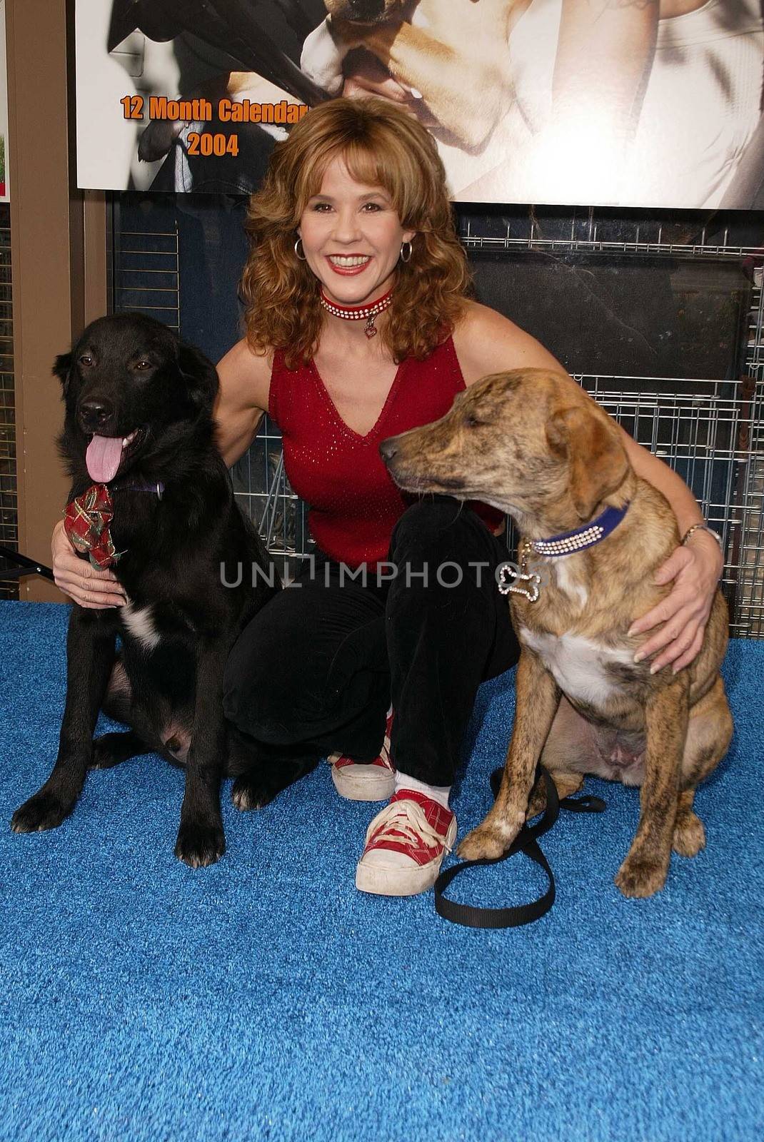 Linda Blair at the launch of Last Chance for Animals' "Pets & Celebrities" at Pet Mania, Burbank, CA 11-15-03