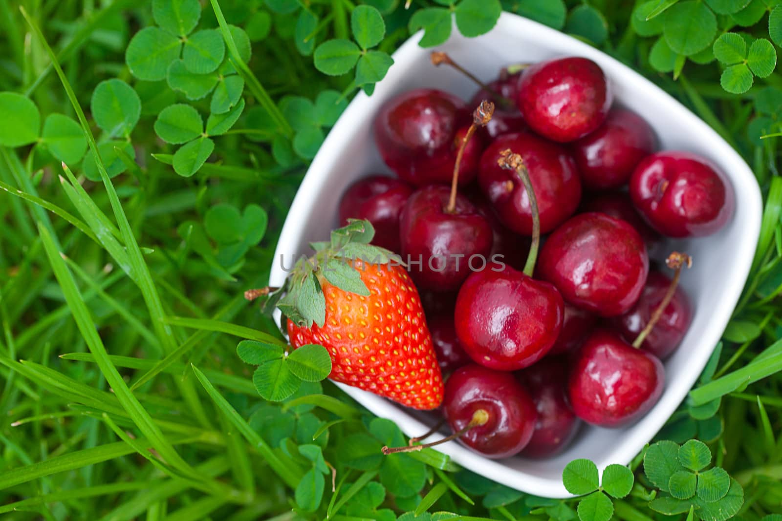 Cherries and strawberry in a ceramic bowl on green grass by jannyjus