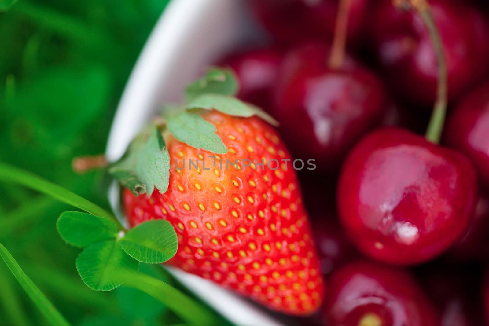 Cherries and strawberry in a ceramic bowl on green grass