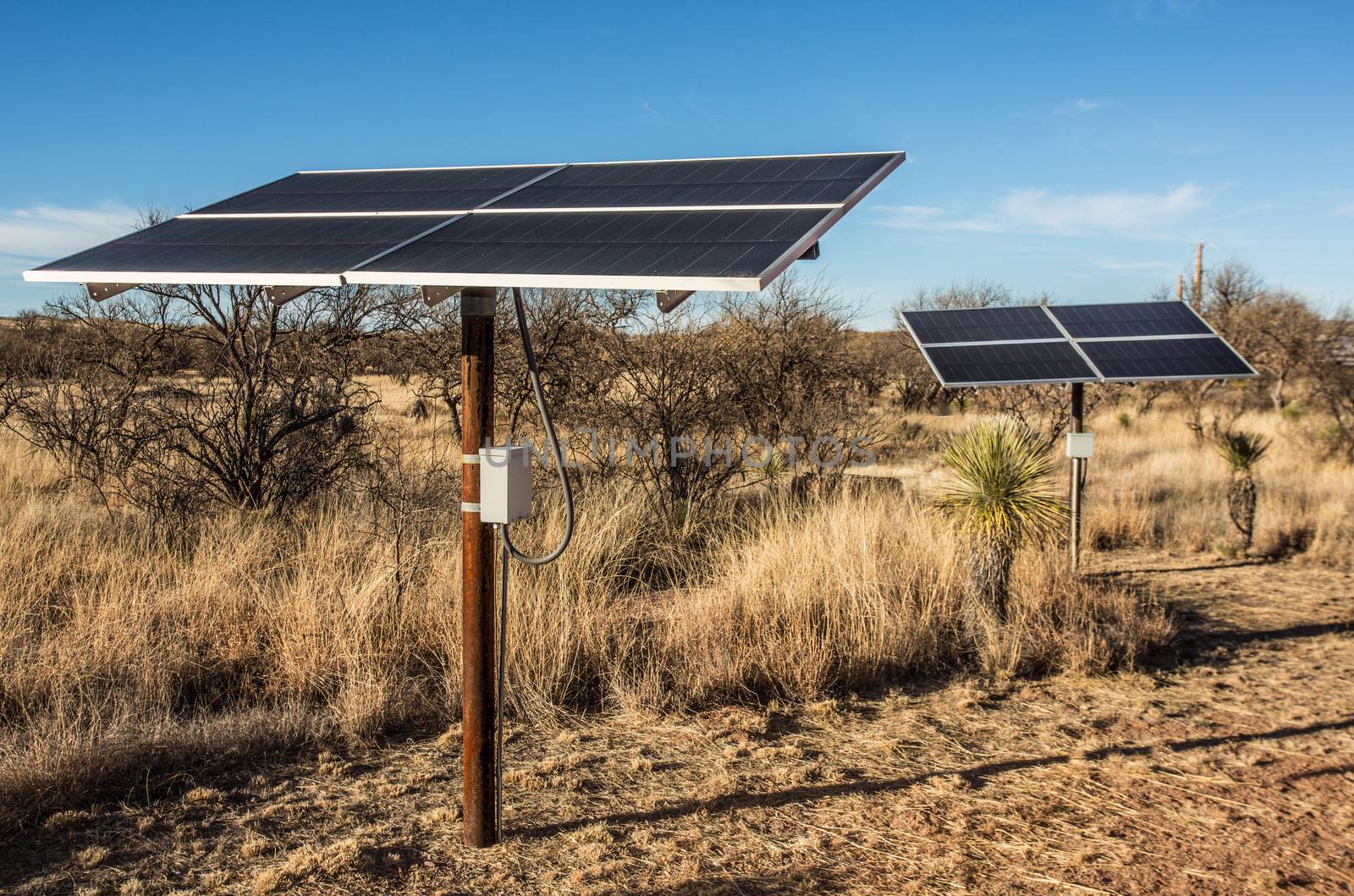 Desert Solar Panels by Creatista