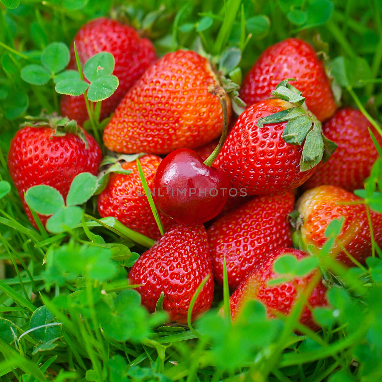 strawberries and cherry lying on green grass