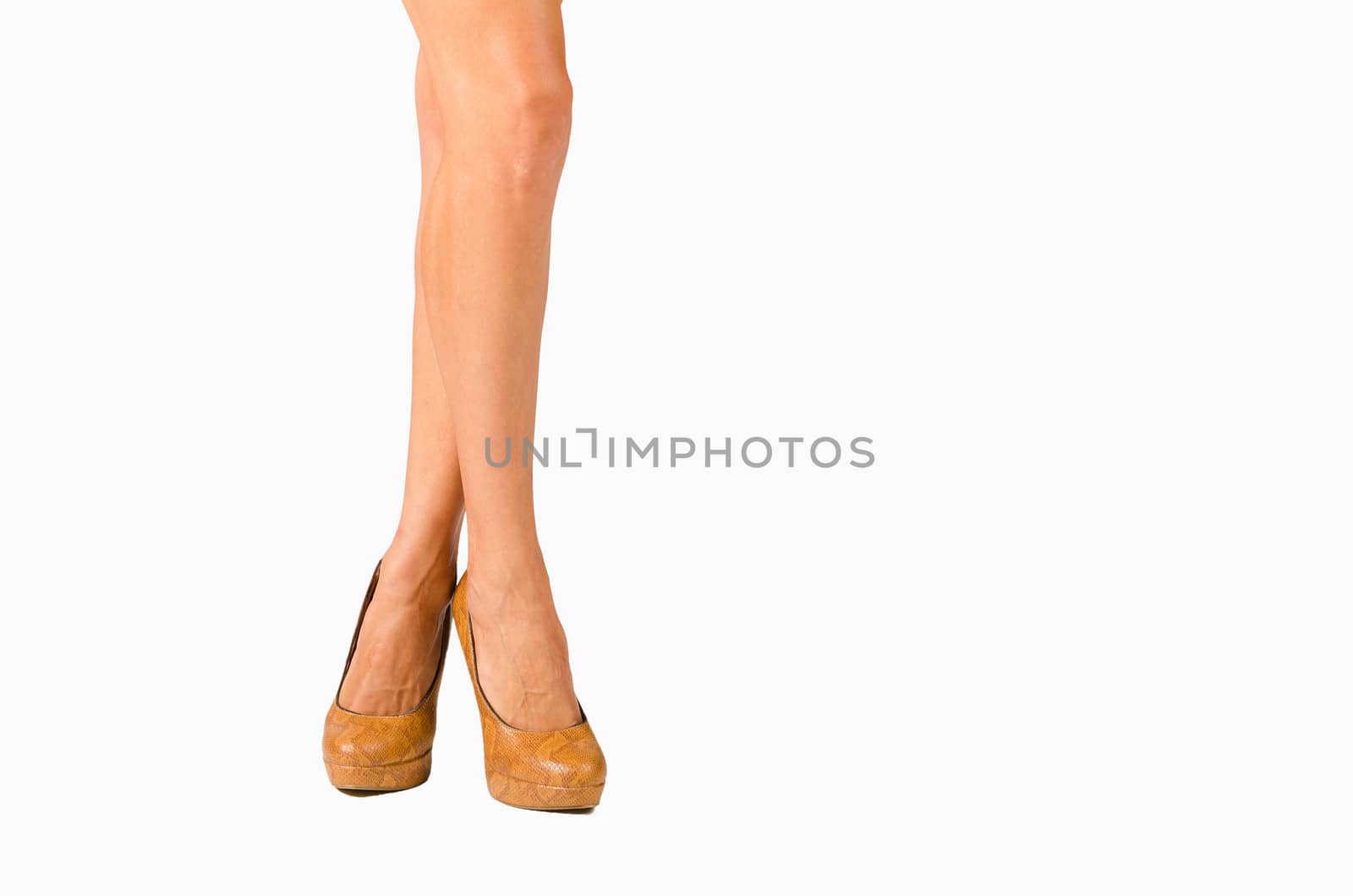 Female legs crossed in an isolate studio shot