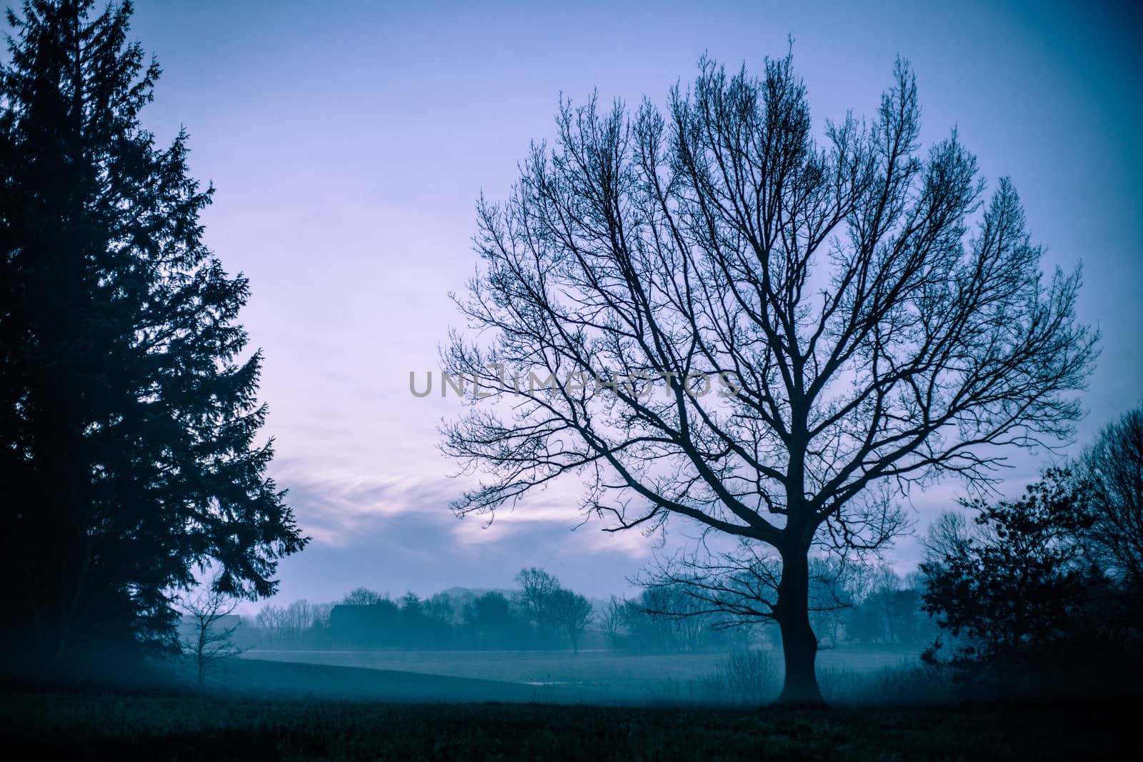 Morning mist by Sportactive