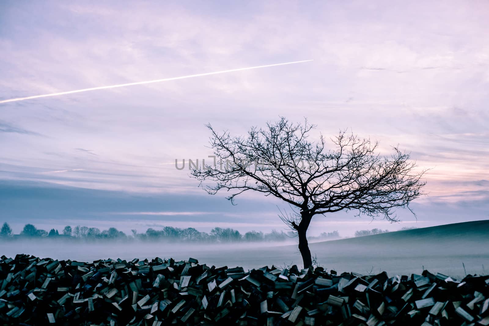 Magical morning mist foliage on a beautiful countryside scenery landscape