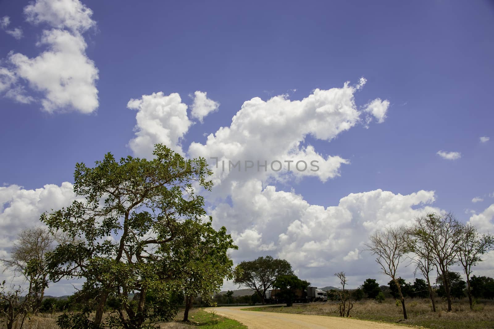 The road to Mikumi National Park in Tanzania.