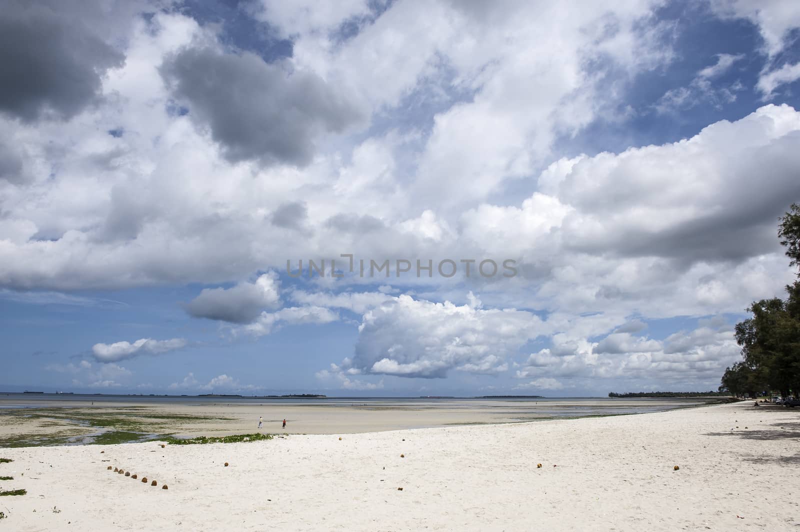 The beach under sunshine in Dar es Salam of Tanzania.