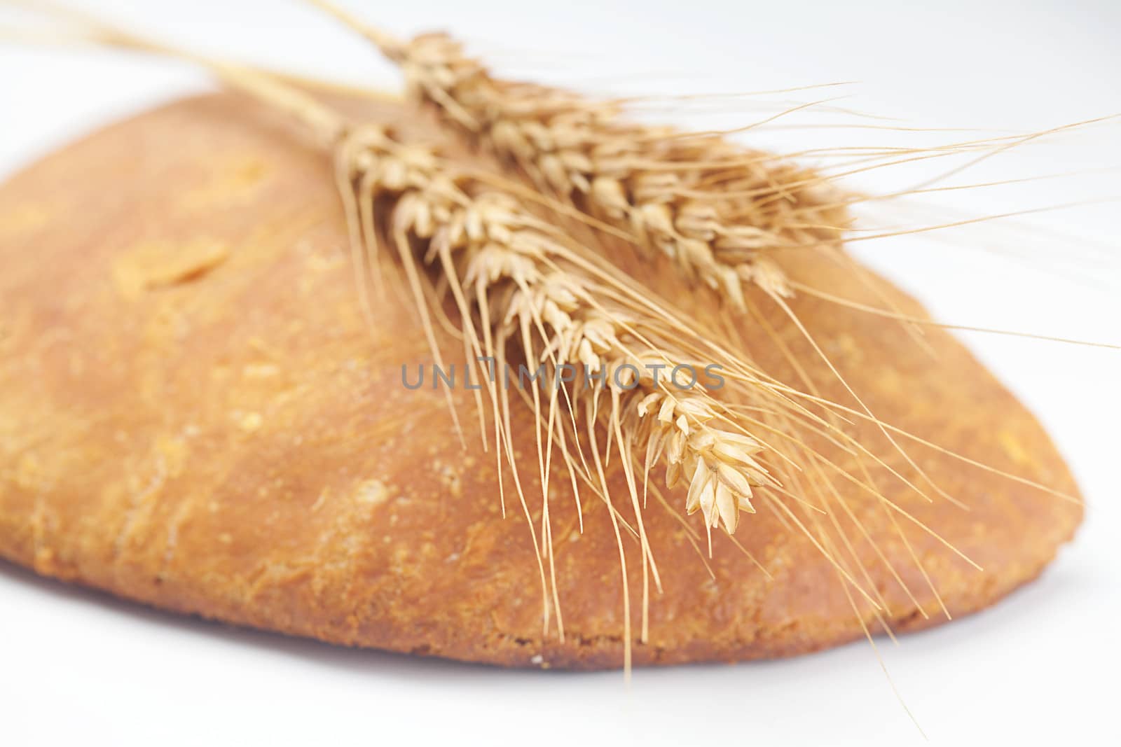 bread and spikes isolated on white