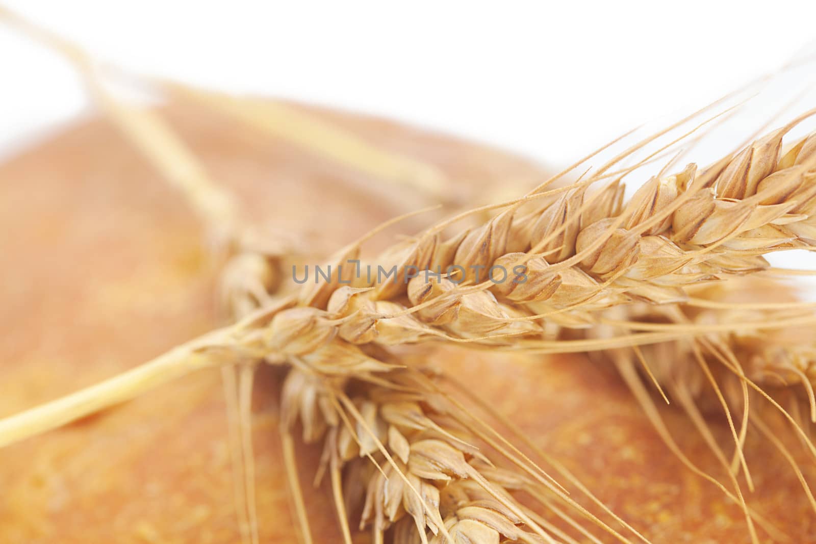 bread and spikes isolated on white