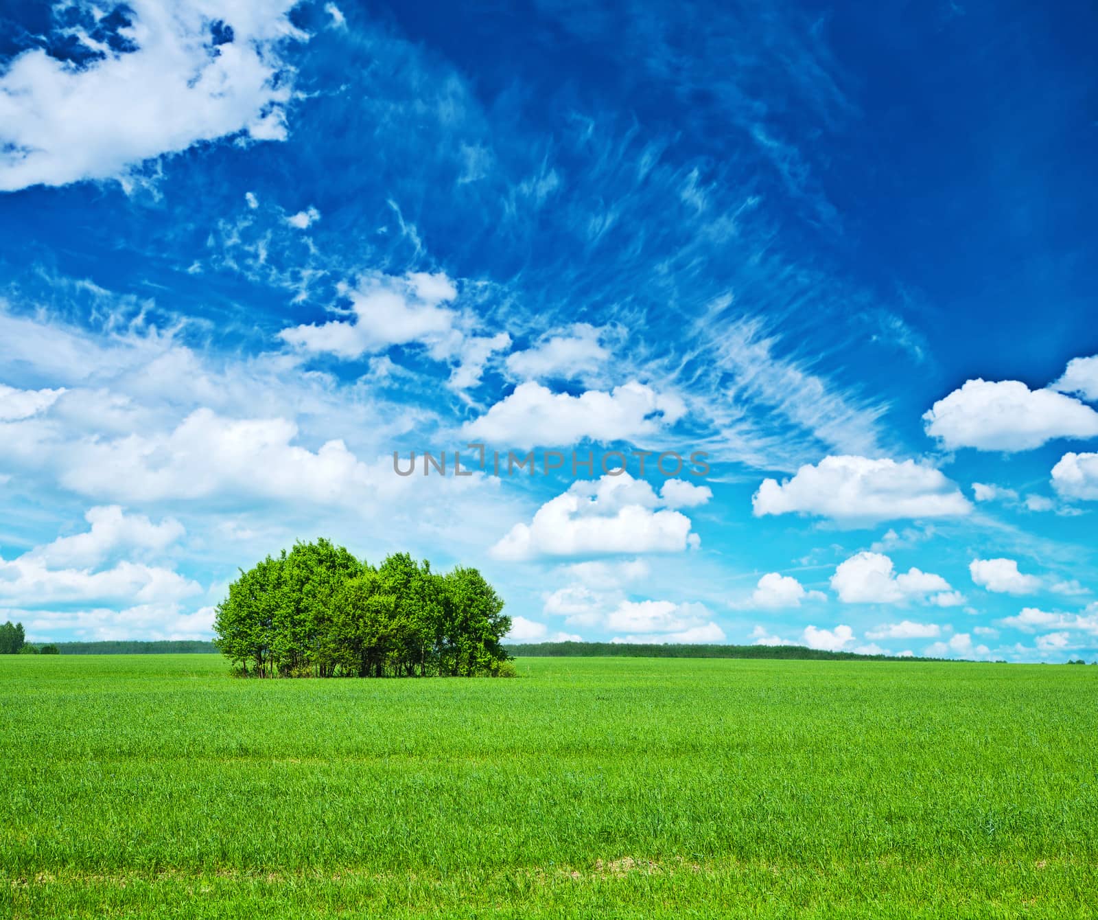 view on green field and blue sky