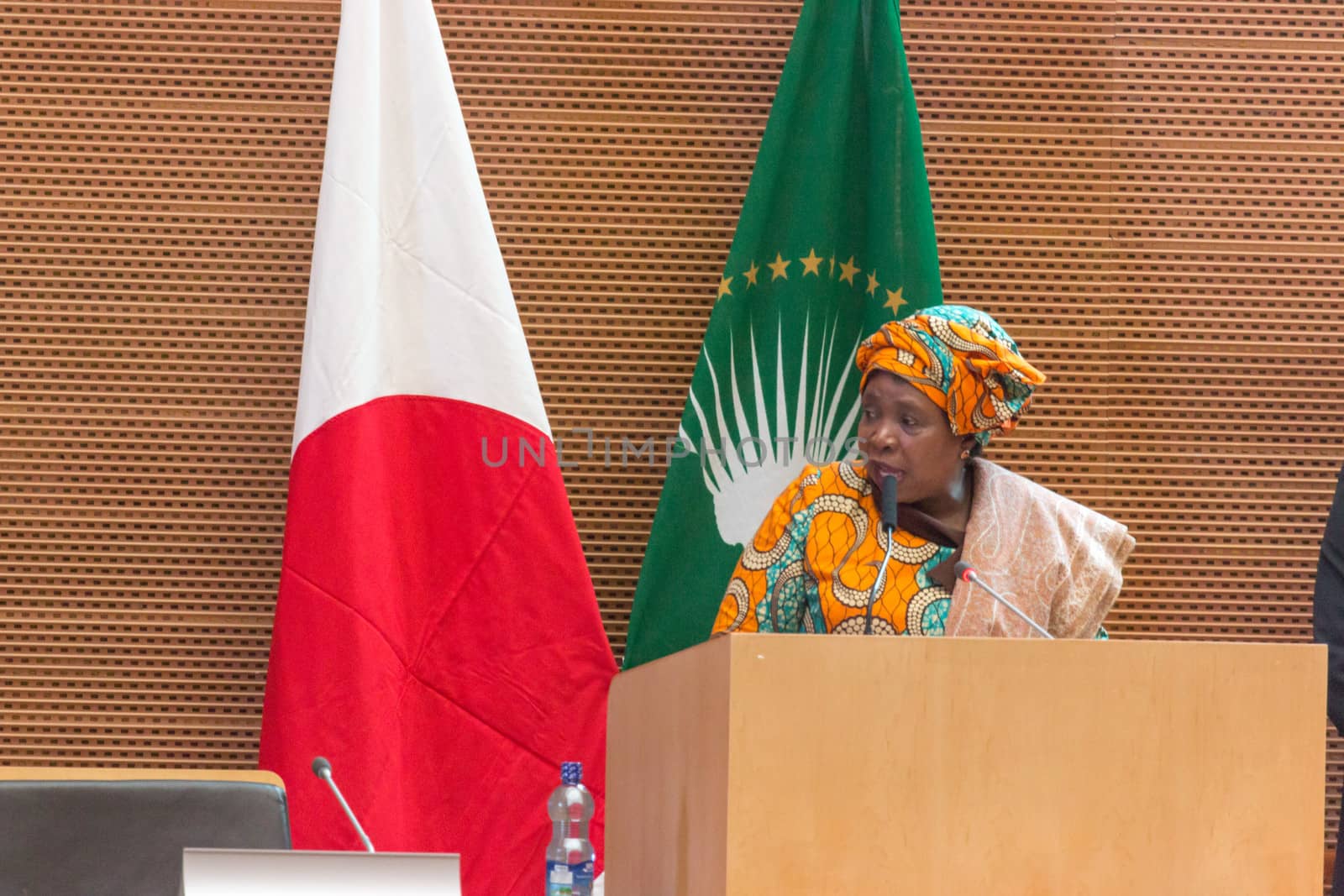 H.E. Dr. Nkosazana Dlamini-Zuma, Chairperson of the African Union Commission delivers a a speech on the occasion of Japan Prime Minister’s visit to Ethiopia, on January 14, 2014, at the African Union Headquarters in Addis Ababa, Ethiopia.