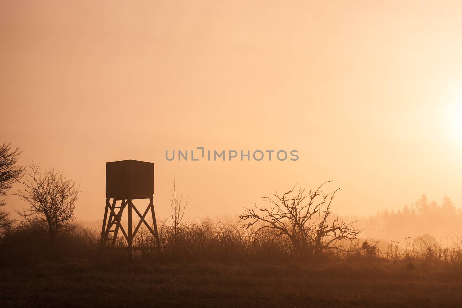 Hunters lookout tower in beautiful morning mist scenery