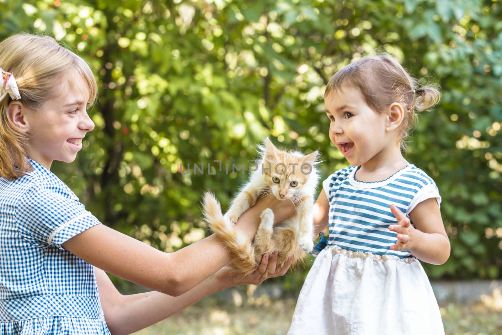 Girl play with kitten by oksix