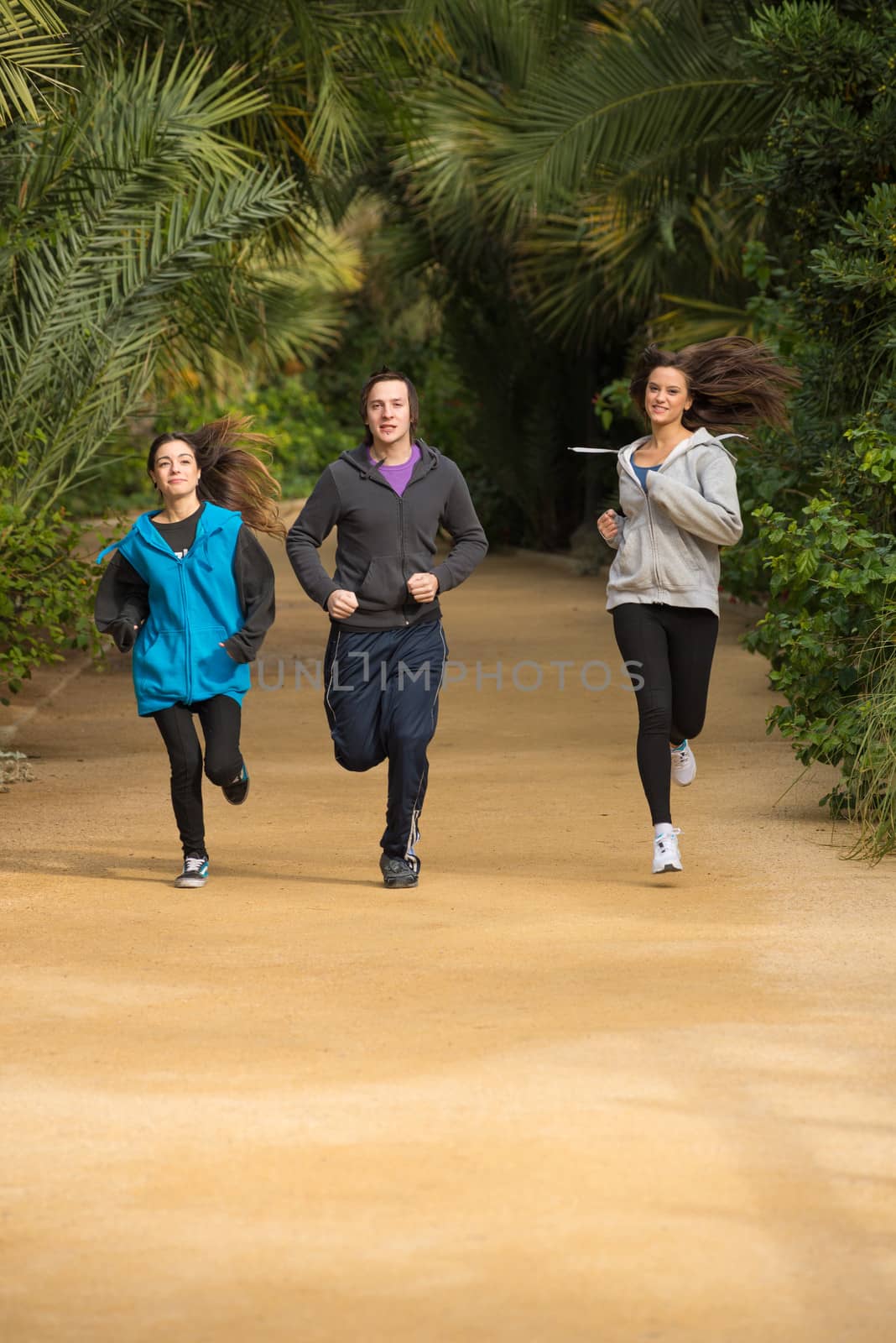 Active people jogging in a  lush park