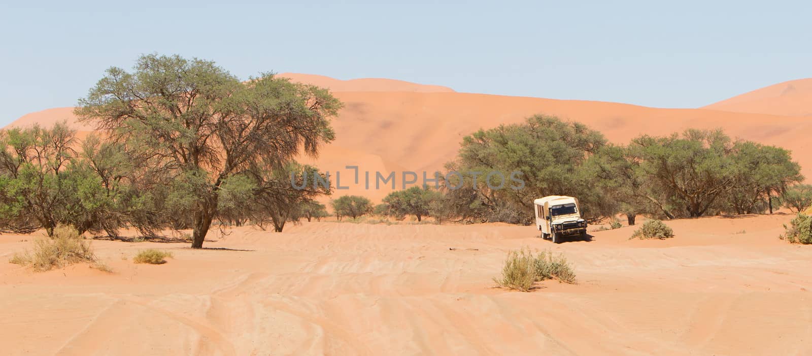 Road in the Sossusvlei, the famous red dunes of Namib desert, Namibia