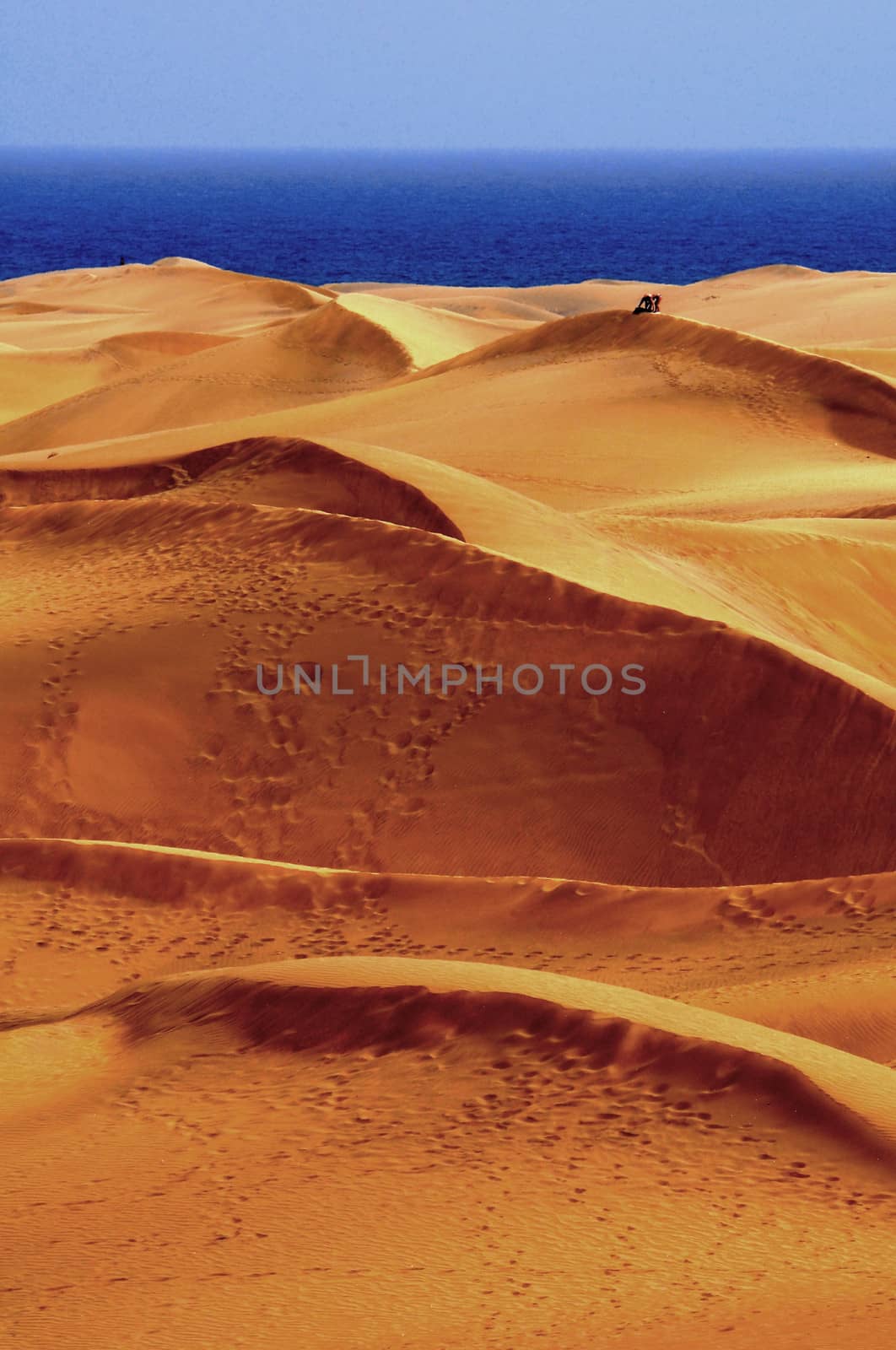 An Orange Sand Desert in Gran Canaria Island, Spain