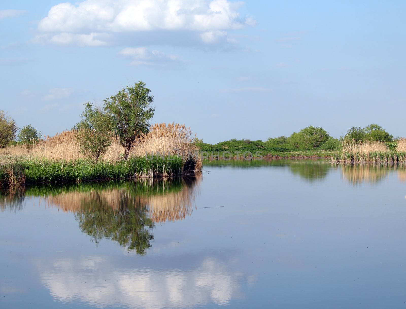 river landscape spring season by goce