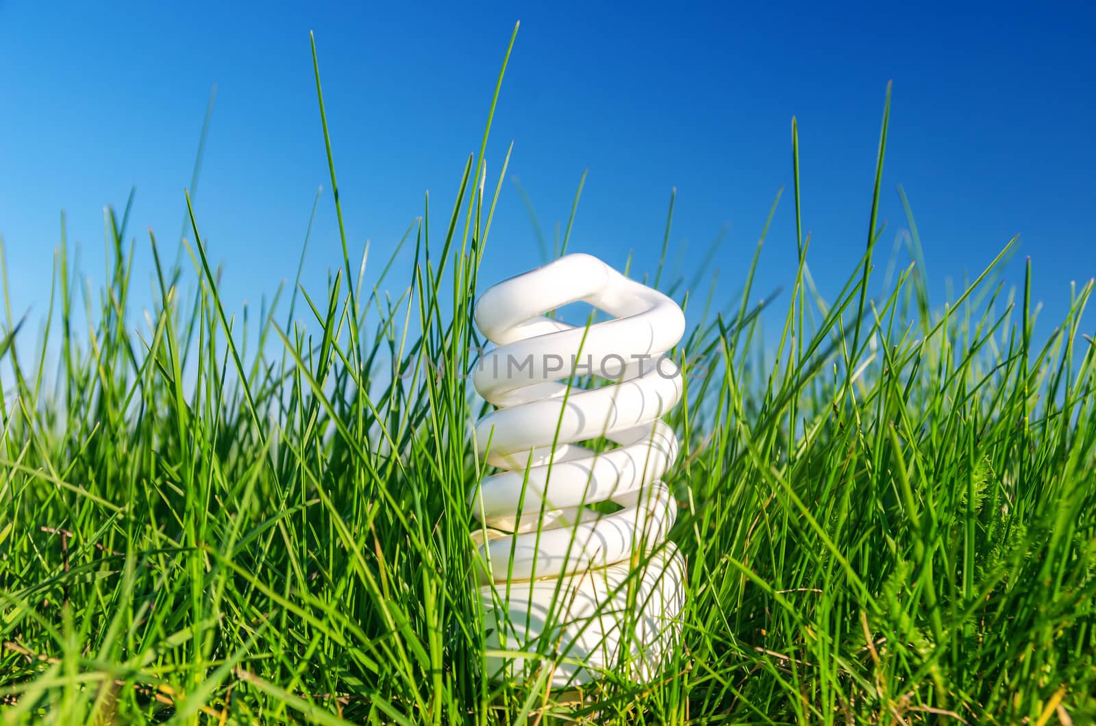 energy saving bulb in green grass against blue sky by mycola
