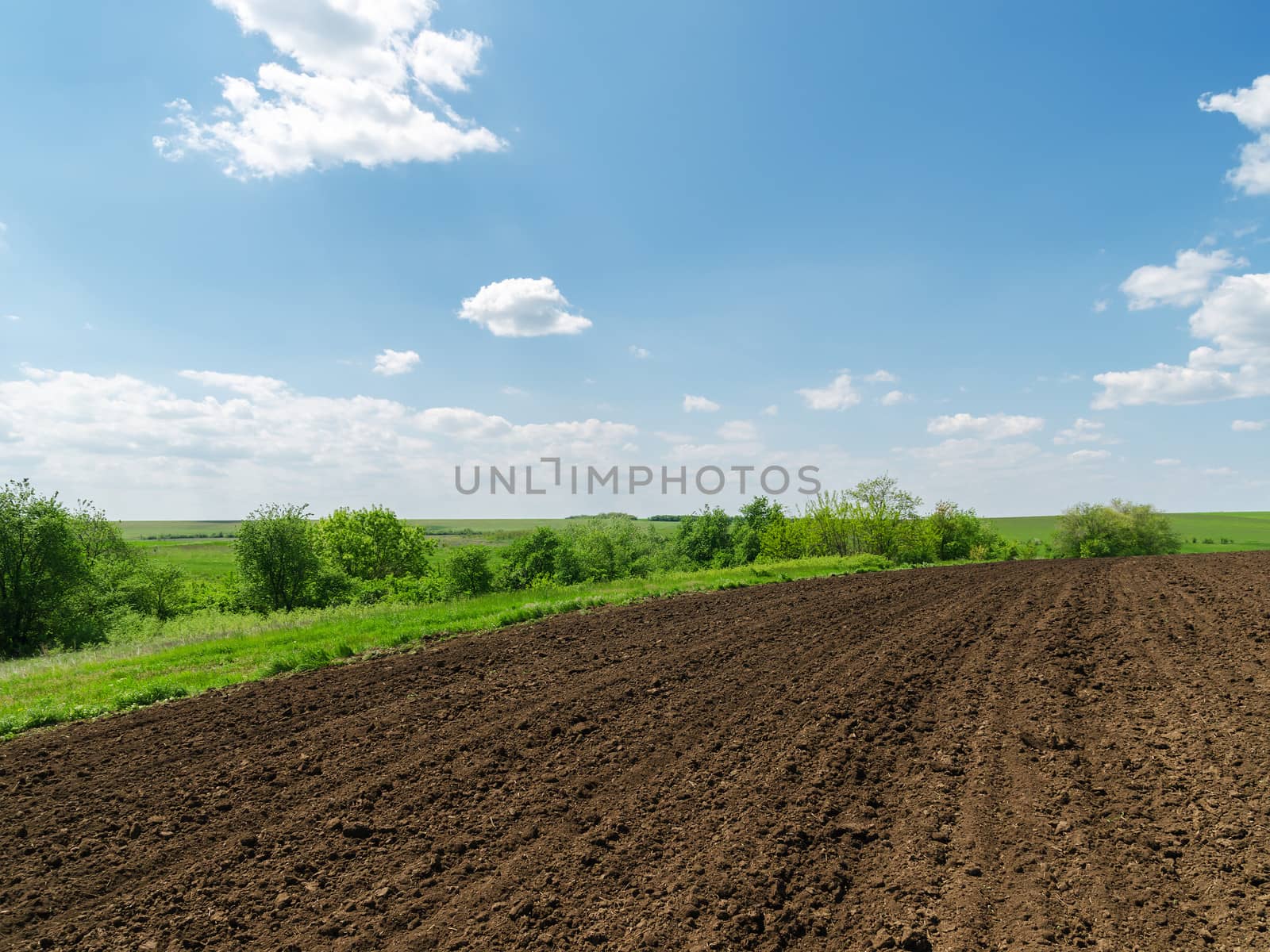black plowed field and blue sky with clouds by mycola