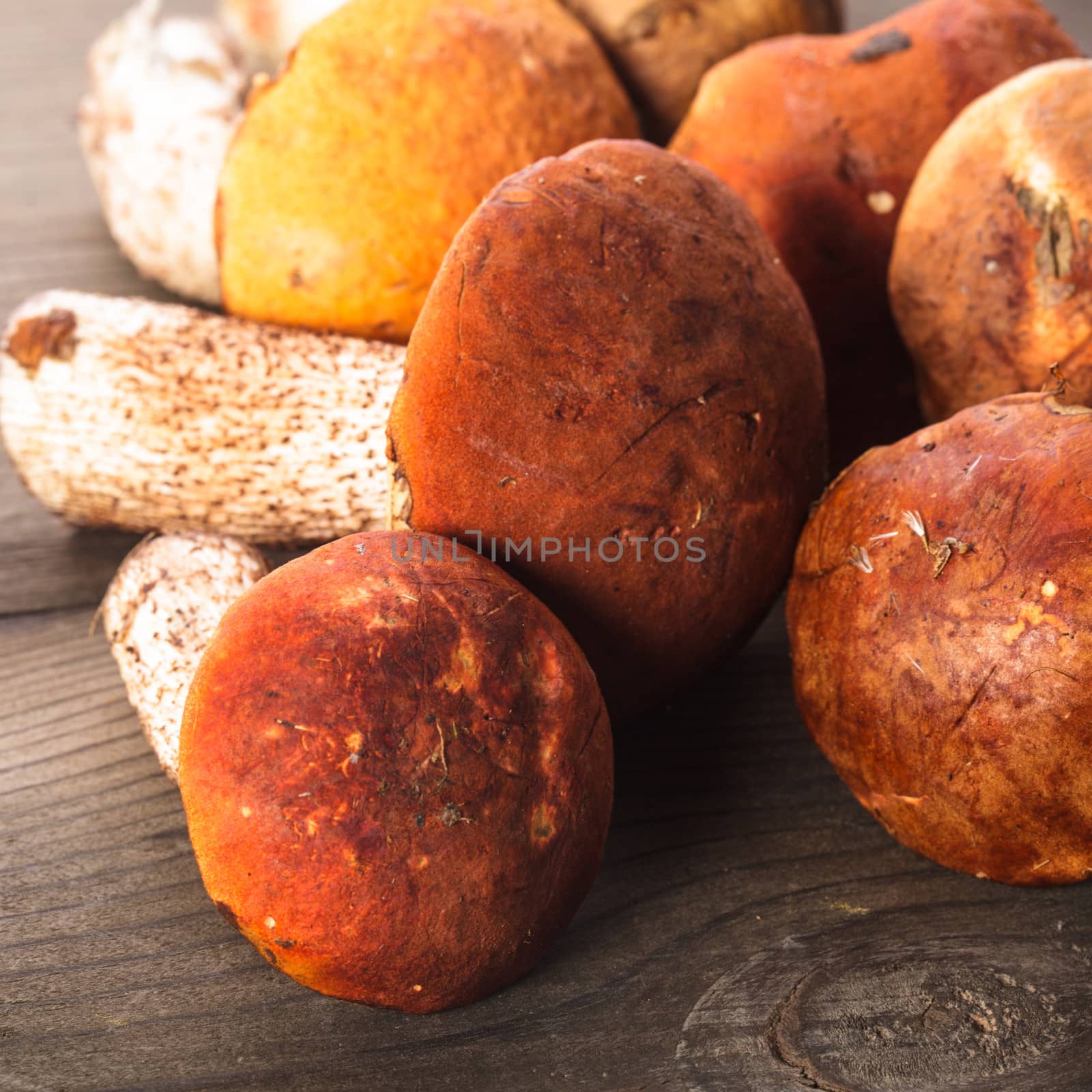 Orange-cap boletus mushrooms on the wooden table