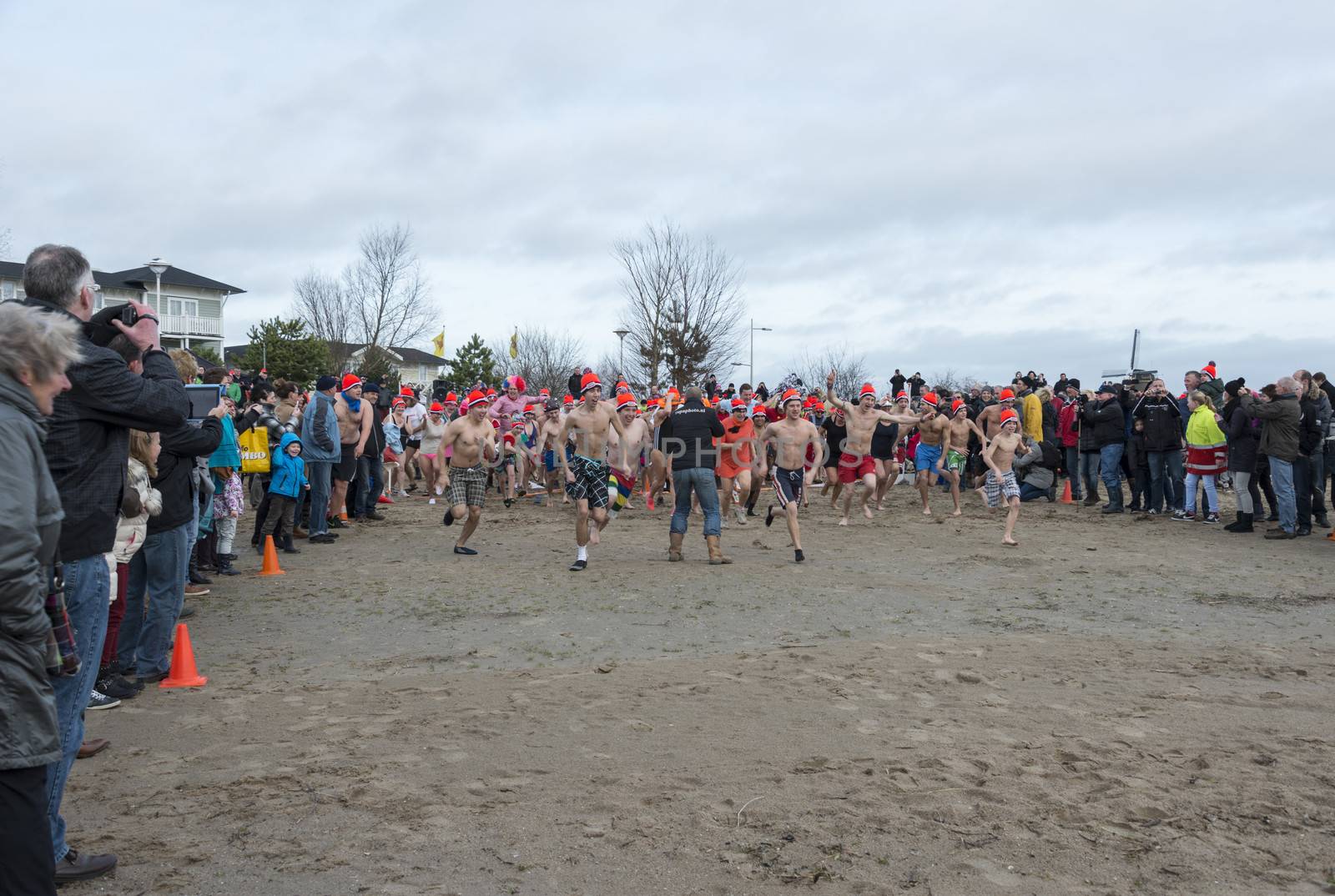 new year dip 2014 in winter holland

