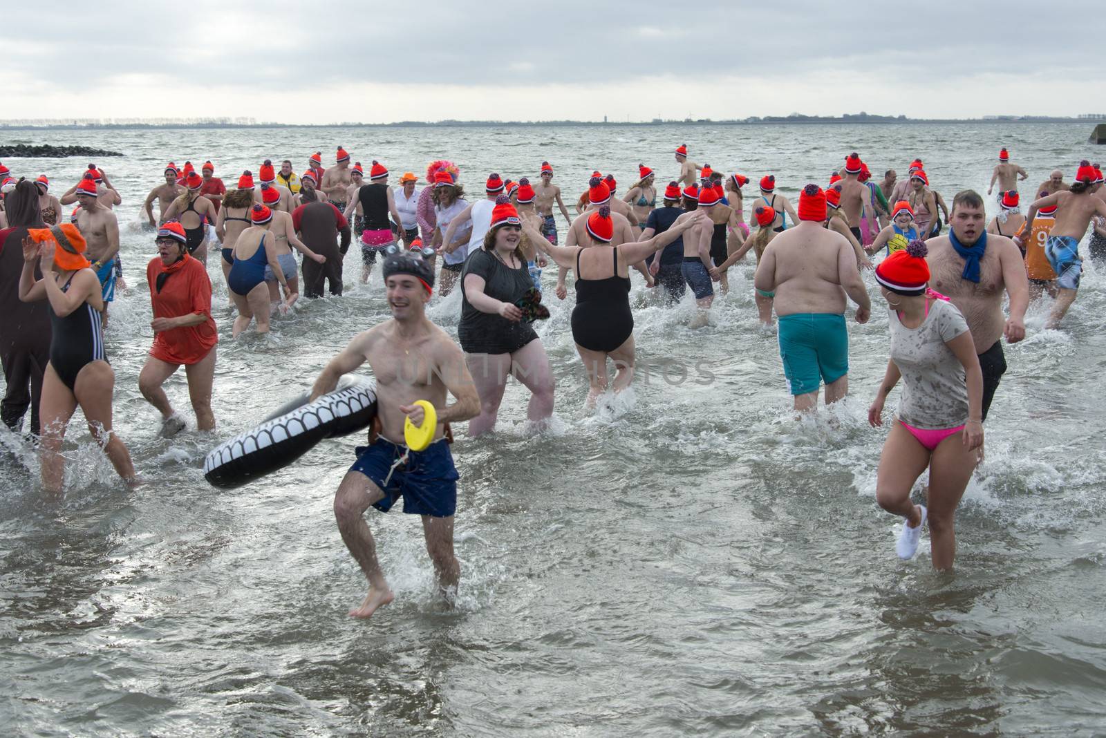 new year dip 2014 in winter holland

