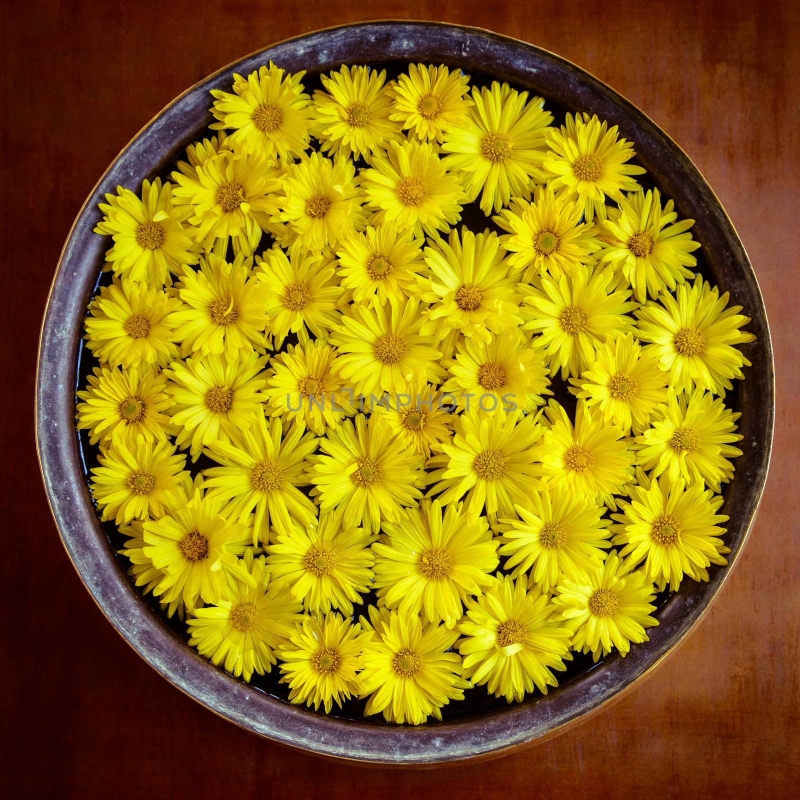 Yellow flowers by dutourdumonde