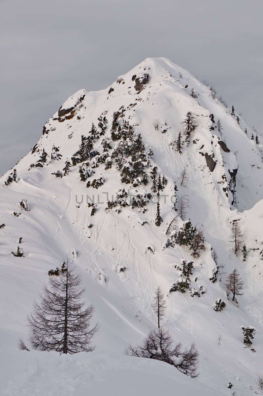 Snowy mountains by anderm