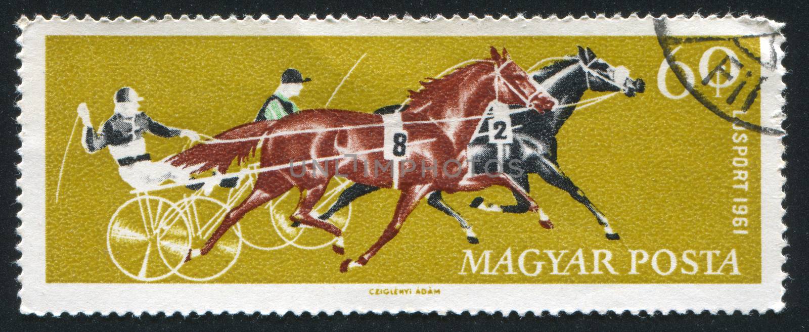 HUNGARY - CIRCA 1961: stamp printed by Hungary, shows Two trotters, circa 1961