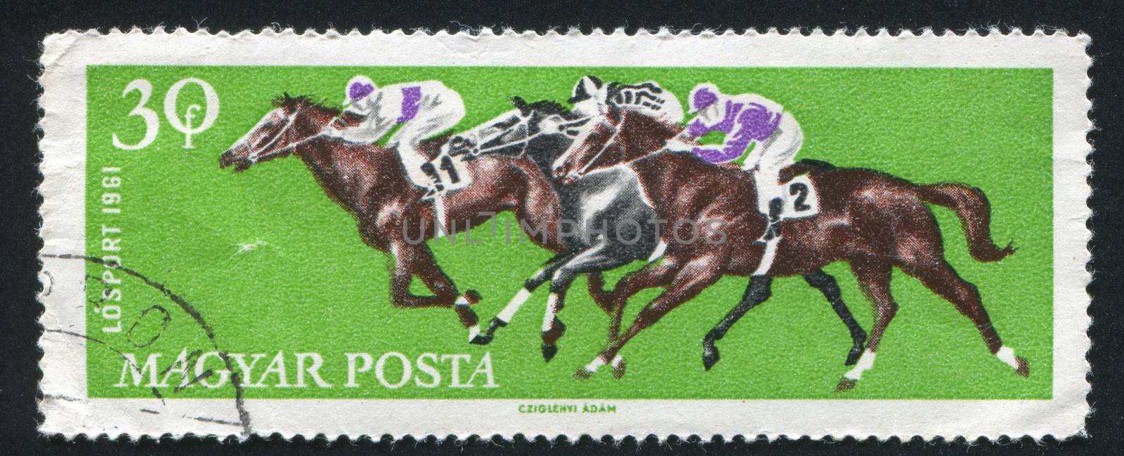 HUNGARY - CIRCA 1961: stamp printed by Hungary, shows Galloping horses, circa 1961