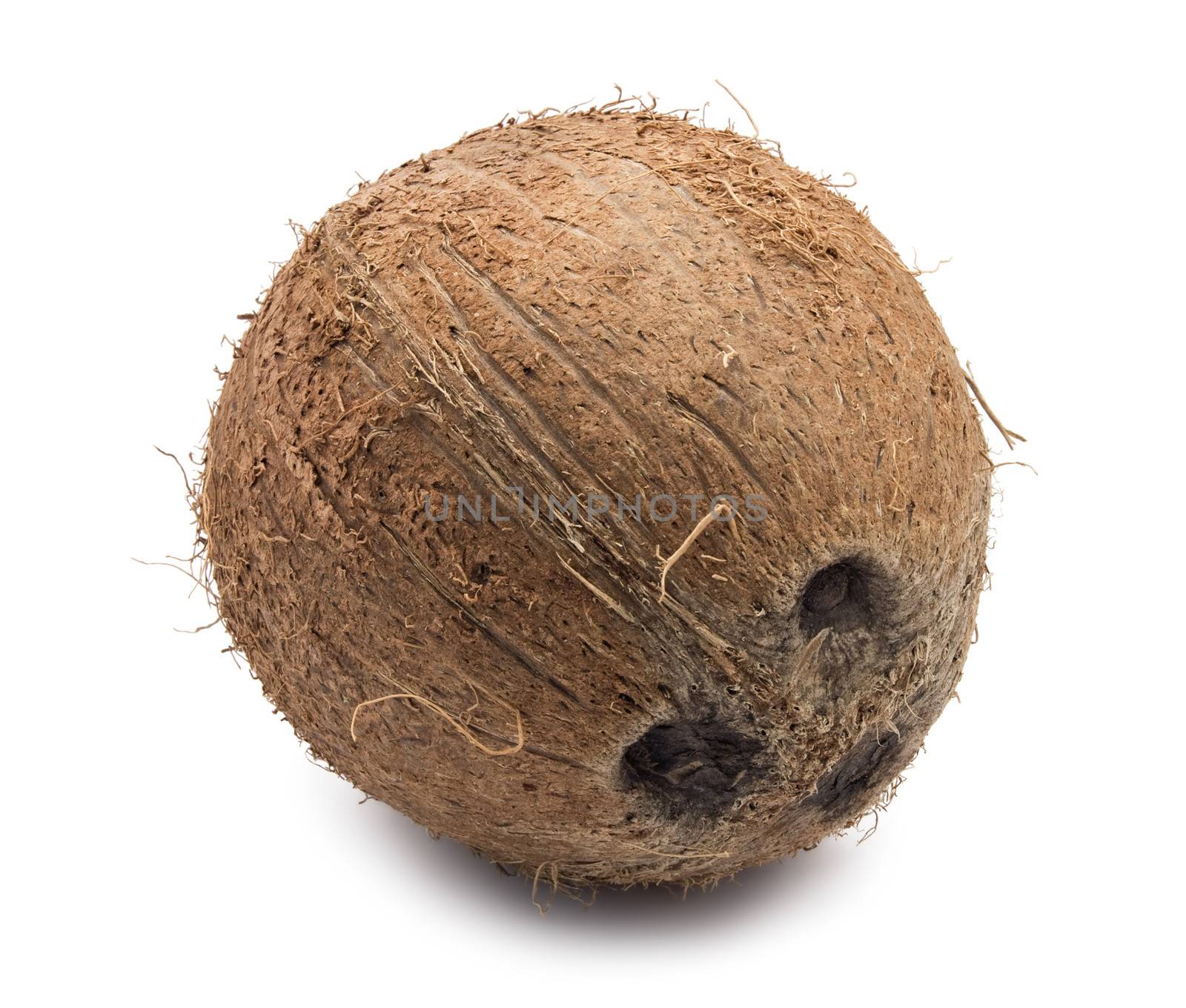 Perfect fresh coconut isolated on white background