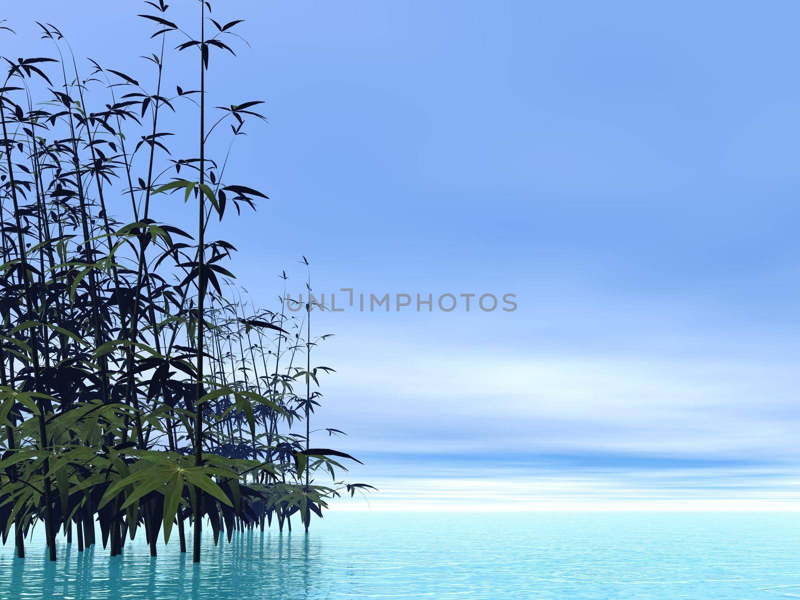 Bamboos and water by beautiful blue day