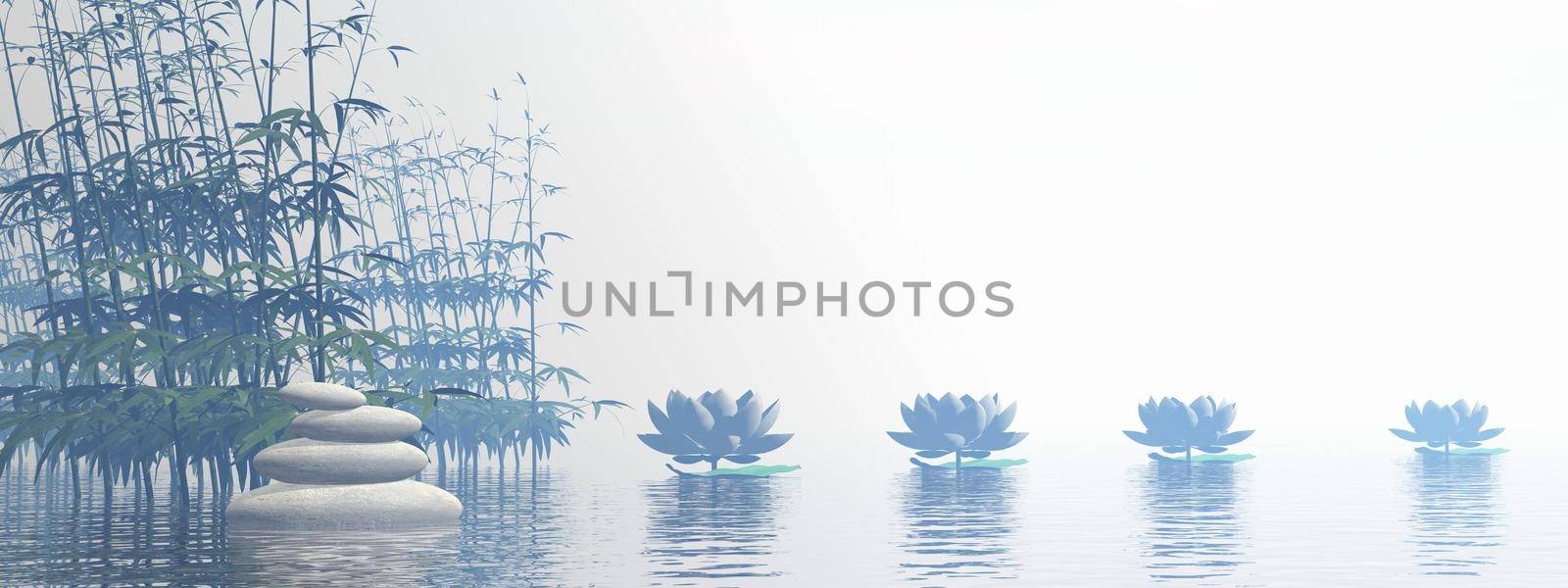 Bamboos and lily flowers on water by beautiful white foggy day