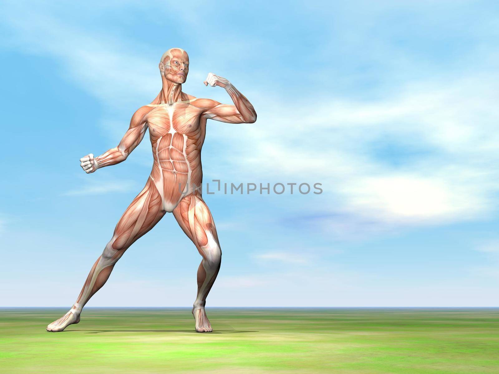Male musculature ready to fight - 3D render by Elenaphotos21