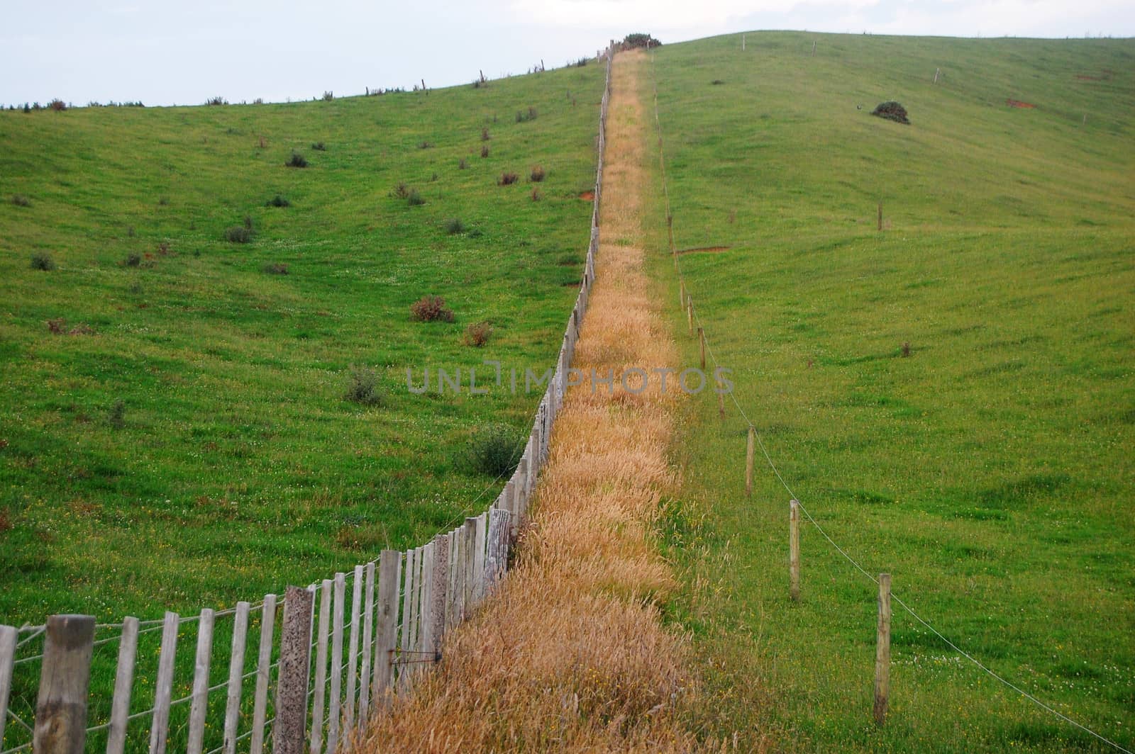 Fence at farm rural area, New Zealand