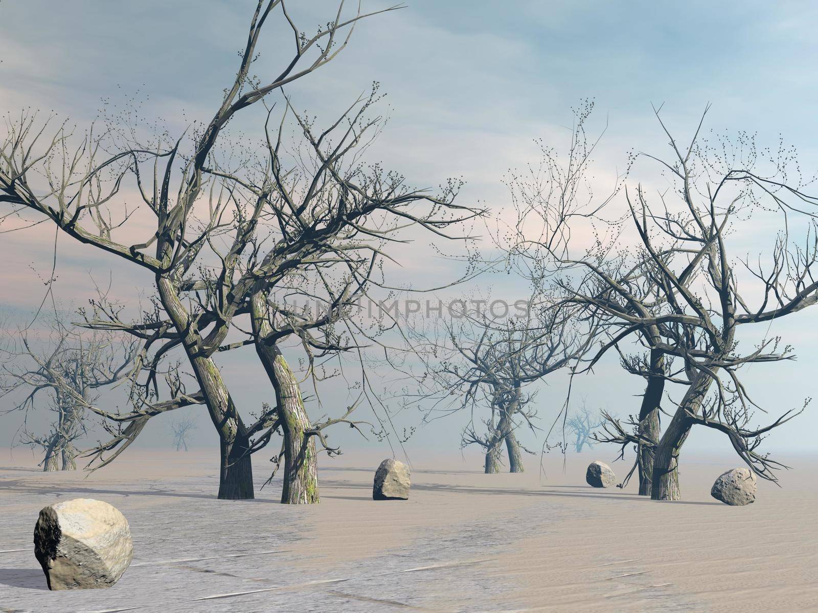 Dead trees in the desert next to rocks by hot sunset