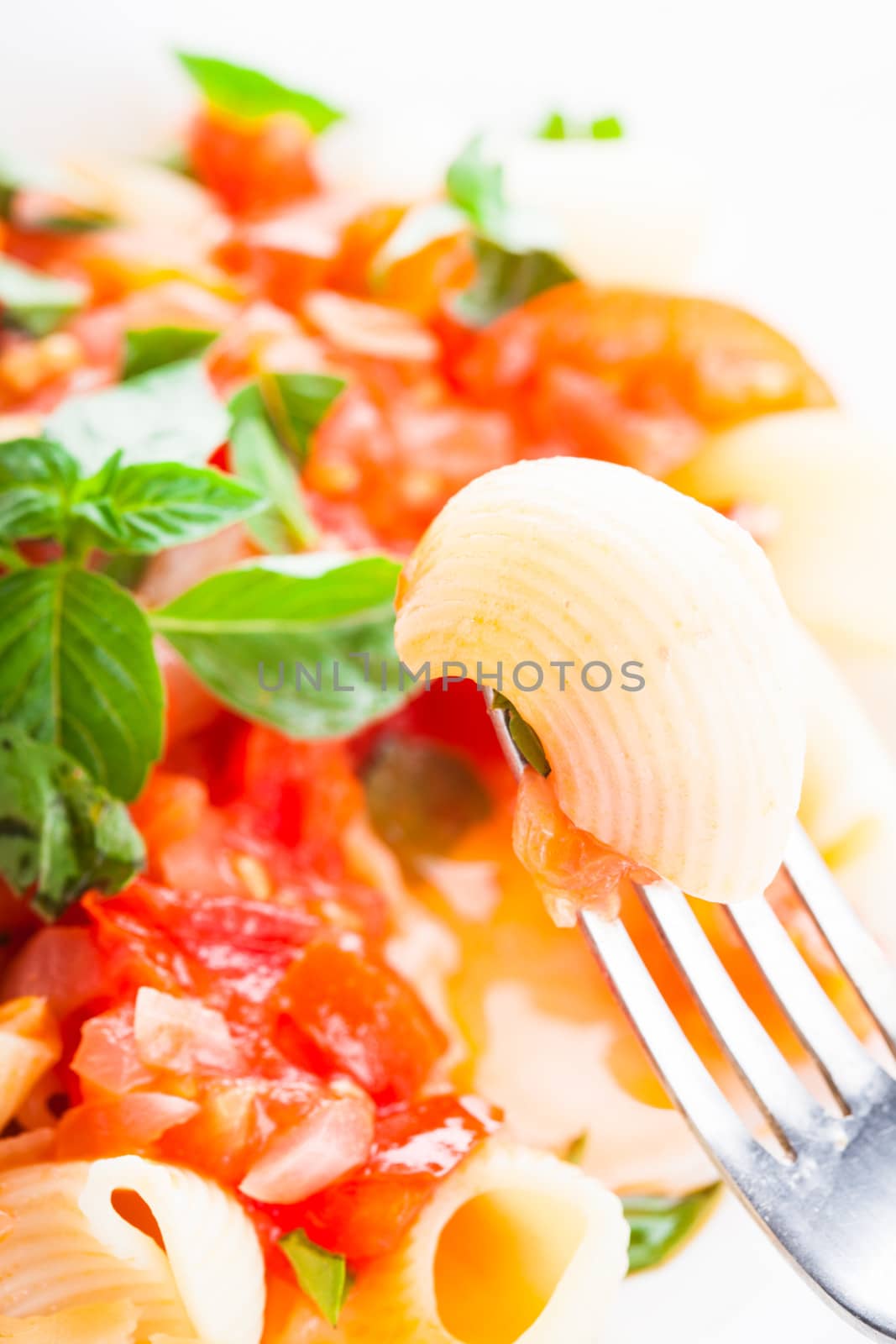 Pasta with sauce from fresh tomatoes and basil, close up