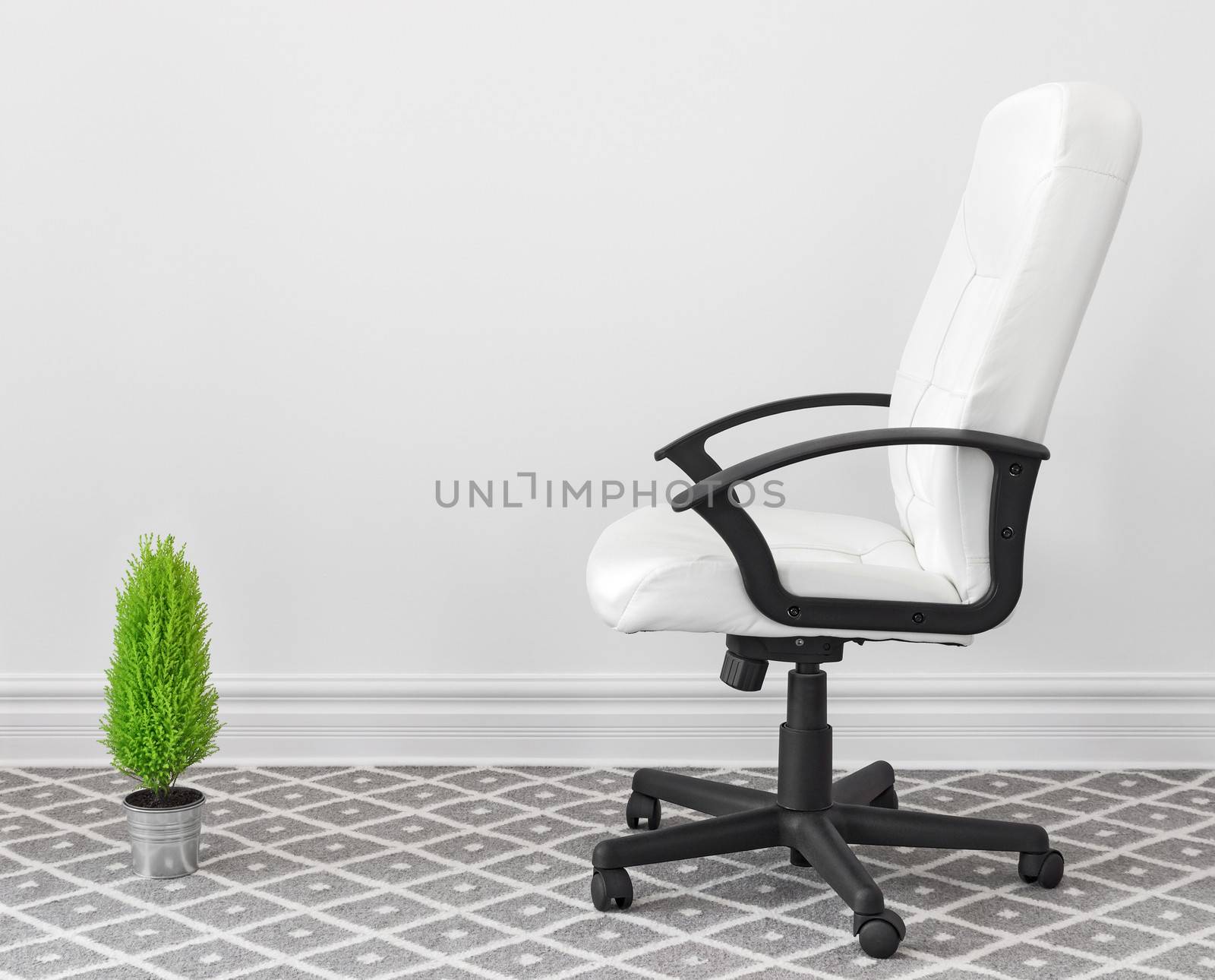 Computer chair and green plant at home or in the office.