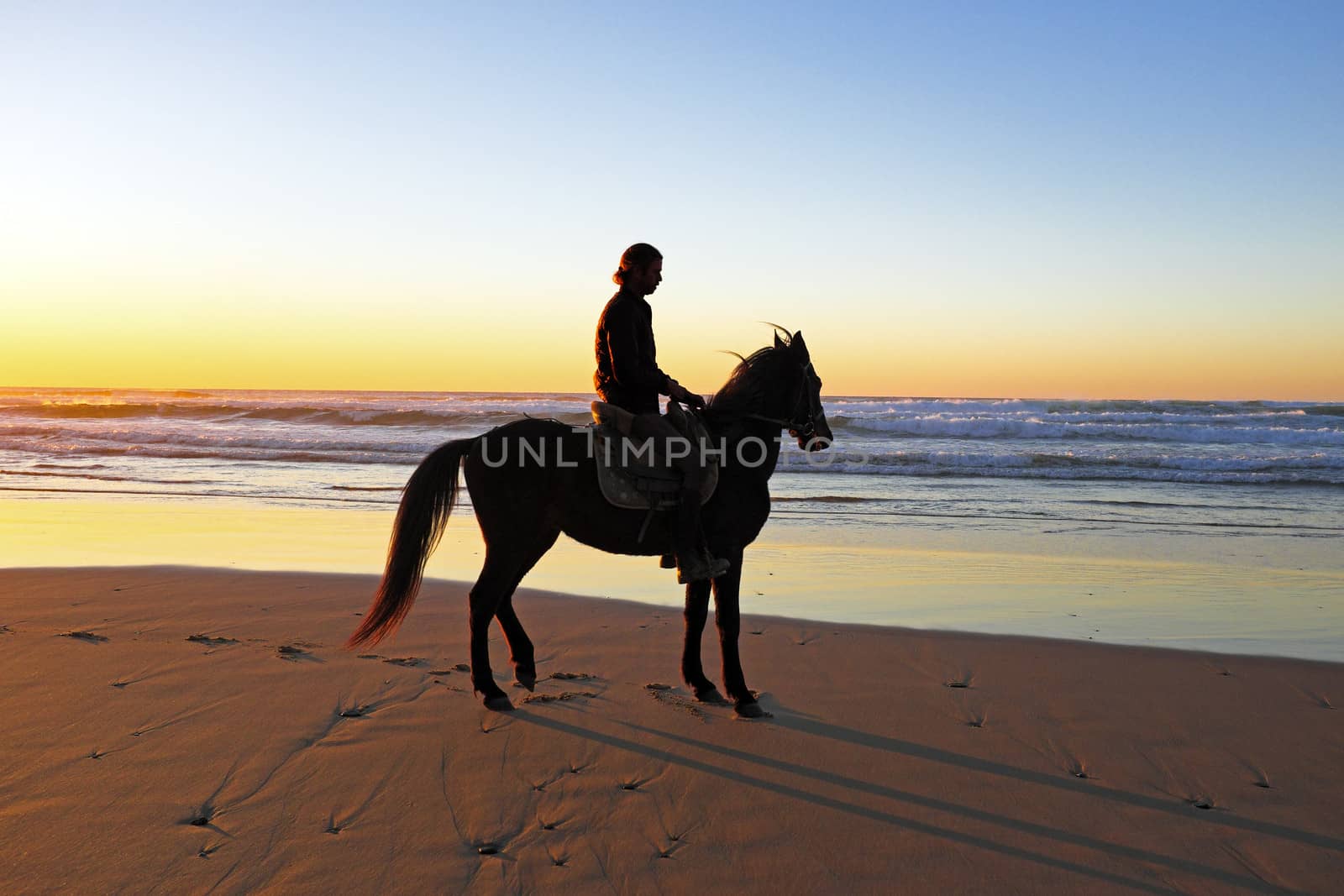 Horse riding on the beach at sunset by devy