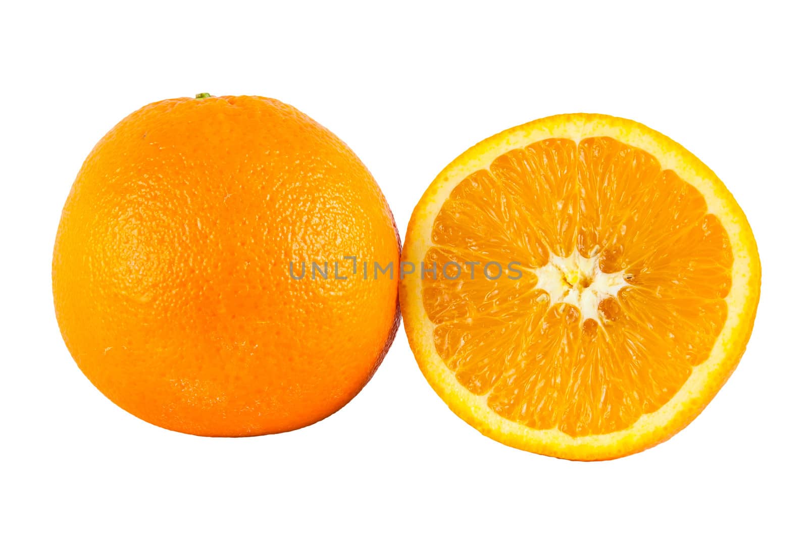 Oranges on white backgound by mkos83