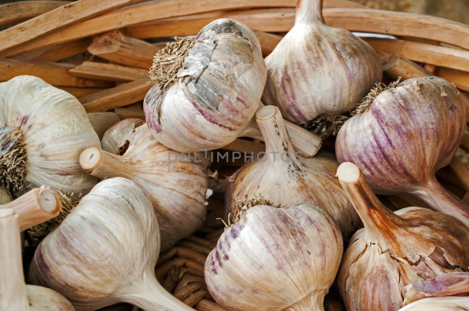 Garlic Bulbs by edcorey